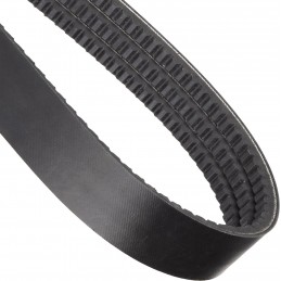 Correa Trapecial BX77